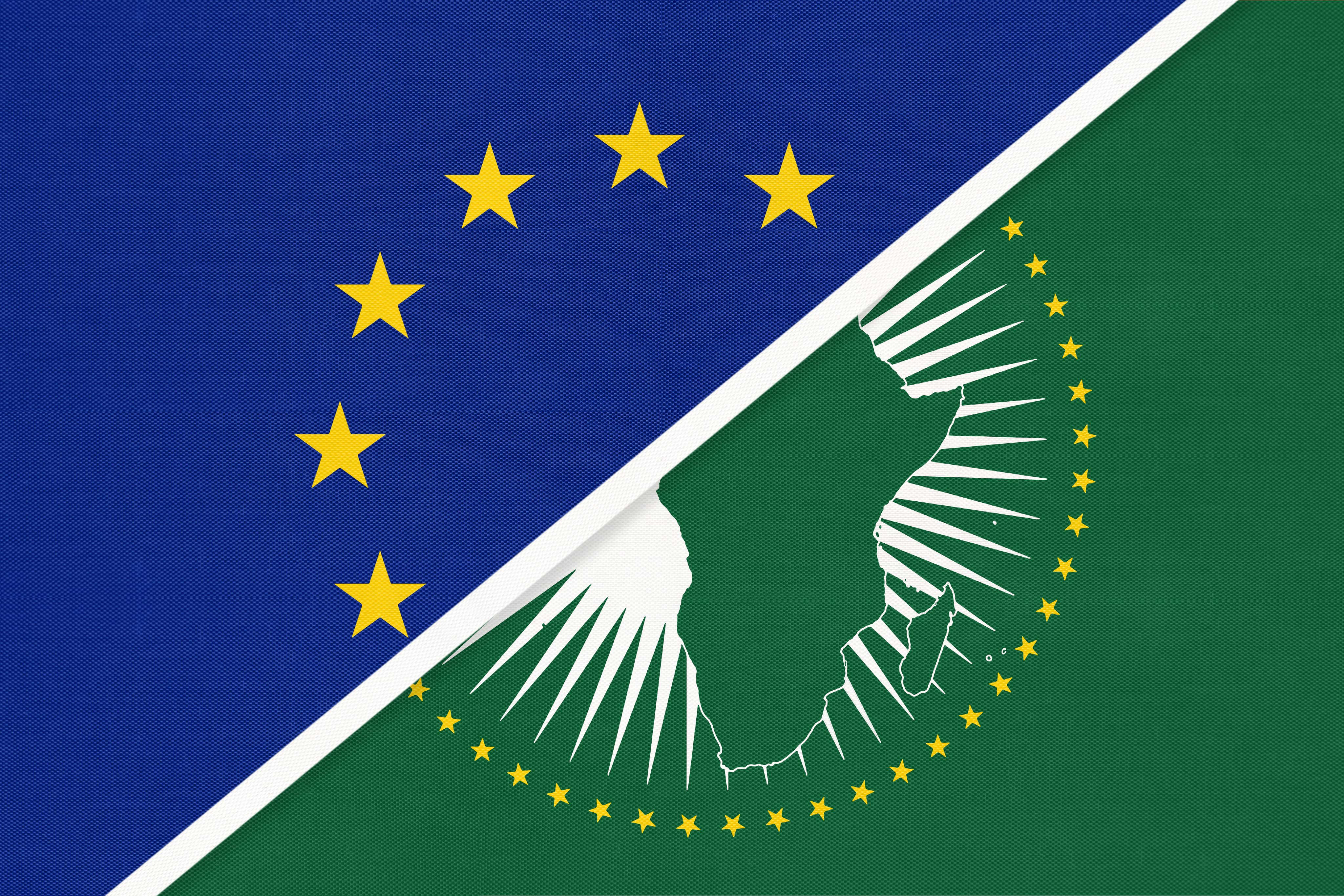 EU & AF Flags